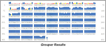 Grouper Results
