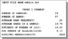 INPUT FILE NAME