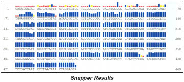 Snapper Results